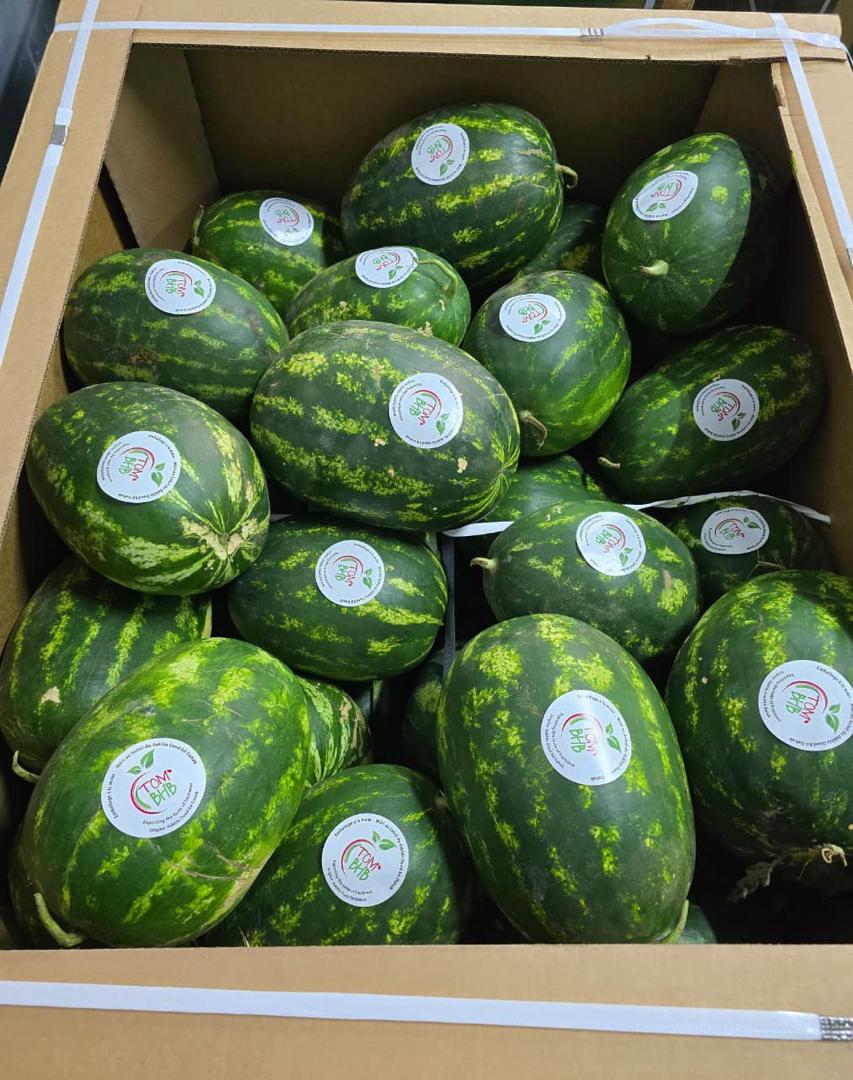 sandias4
